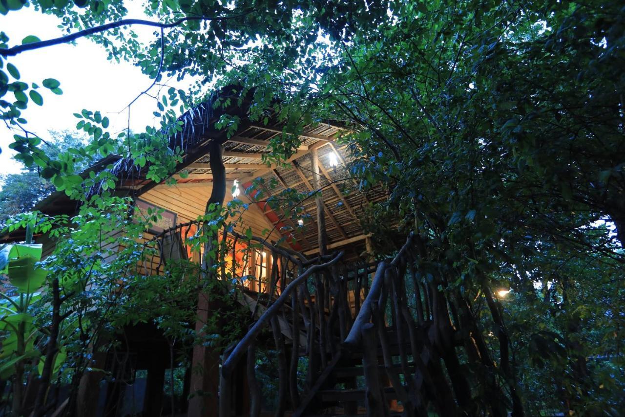 Habarana Tree House Mutu Village Εξωτερικό φωτογραφία